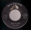 7inch Vinyl Single - Chet Atkins - Windy And Warm / Man Of Mystery