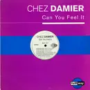 12inch Vinyl Single - Chez Damier - Can You Feel It