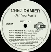 12inch Vinyl Single - Chez Damier - Can You Feel It