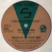 Chez Damier - I Never Knew Love