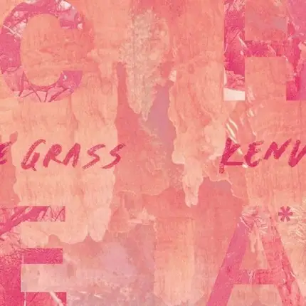 CHEATAHS - CUT THE GRASS