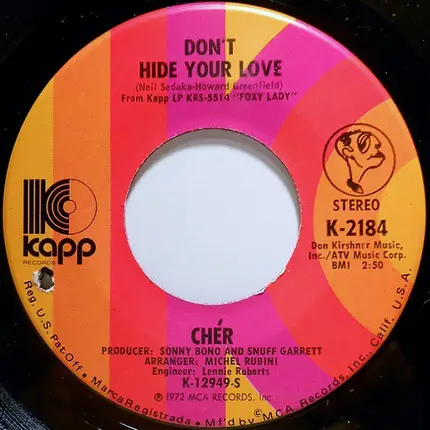 Cher - Don't Hide Your Love