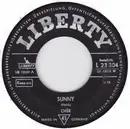 7inch Vinyl Single - Cher - Sunny / Come To Your Window