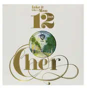 12inch Vinyl Single - Cher - Take It Like A Man - Still Sealed