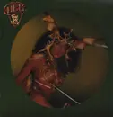 Picture Disc - Cher - Take Me Home - PICTURE DISC