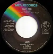 7inch Vinyl Single - Cher - Train Of Thought / Dixie Girl
