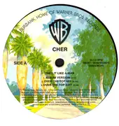 12inch Vinyl Single - Cher - Take It Like A Man - Still Sealed