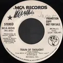 7inch Vinyl Single - Cher - Train Of Thought - Promo Copy