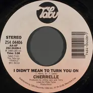 Cherrelle - I Didn't Mean To Turn You On
