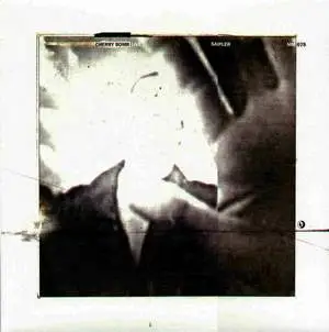 Cherry Bomb - Live Sampler