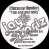 12inch Vinyl Single - Chesney Hawkes - The One And Only