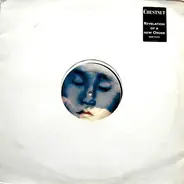 Chestnut - Revelation Of A New Order