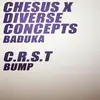 10'' - Chesus X Diverse Concepts / C.R.S.T - Baduka / Bump - Purple