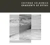 CD - Chiyoko Szlavnics - Gradients Of Detail - Digipak