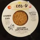 7inch Vinyl Single - Chicago - Another Rainy Day In New York City / Hope For Love
