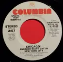 7inch Vinyl Single - Chicago - Another Rainy Day In New York City