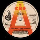 7inch Vinyl Single - Chicago - Baby, What A Big Surprise
