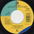 7inch Vinyl Single - Chicago - Chasin' The Wind / Only Time Can Heal The Wounded