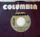 7inch Vinyl Single - Chicago - Does Anybody Really Know What Time It Is ?