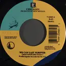 7inch Vinyl Single - Chicago - We Can Last Forever