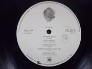 LP - Chicago - Chicago XIV