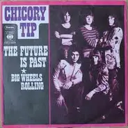 Chicory Tip - The Future Is Past