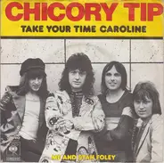 Chicory Tip - Take Your Time Caroline