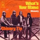 7inch Vinyl Single - Chicory Tip - What's Your Name