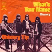 7inch Vinyl Single - Chicory Tip - What's Your Name
