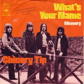 Chicory Tip - What's Your Name