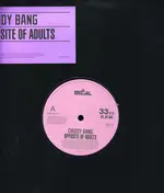 chiddy bang - Opposite Of Adults EP