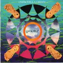 CD - Chinchilla Green - Gravity
