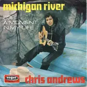 7inch Vinyl Single - Chris Andrews - Michigan River