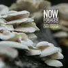 LP - Chris Brokaw - Now, Forager