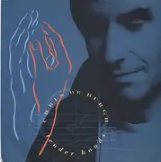 7inch Vinyl Single - Chris de Burgh - Tender Hands (Remix)