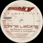 Chris Liebing - Geushky At Night