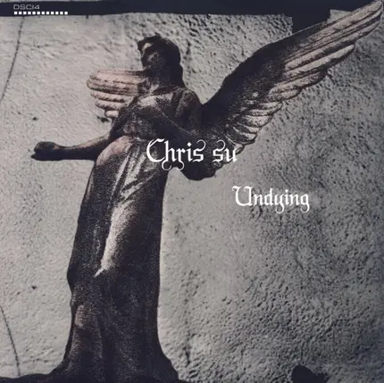 Chris Su - Undying