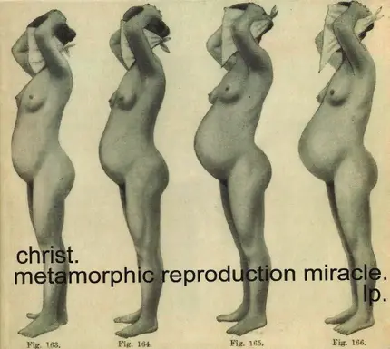 Christ. - Metamorphic Reproduction Miracle.