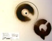 12inch Vinyl Single - Christian Quast - You Are