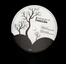 12inch Vinyl Single - Christian Fischer & The Ascent - Meiler