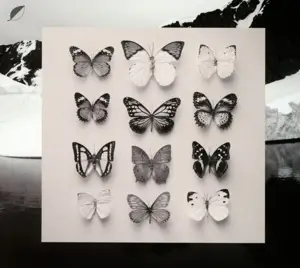 CHRISTIAN LÖFFLER - Young Alaska