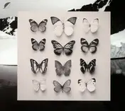 CHRISTIAN LÖFFLER - Young Alaska