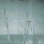 CHRISTIAN LÖFFLER - A Forest ( 2xlp + Cd )
