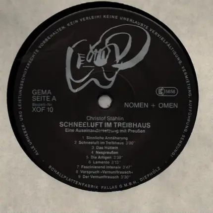 Christof Staehlin - Schneeluft Im Treibhaus