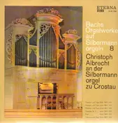 Christoph Albrecht - Bachs Orgelwerke auf Silbermannorgeln 8