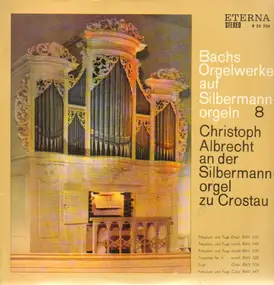 Christoph Albrecht - Bachs Orgelwerke auf Silbermannorgeln 8