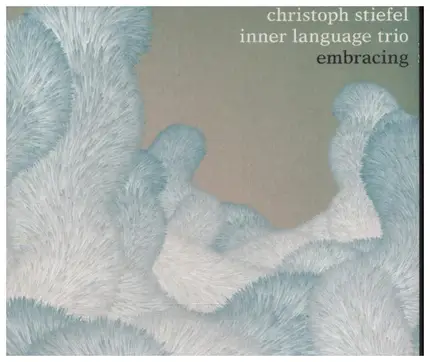 Christoph Stiefel Inner Language Trio - Embracing