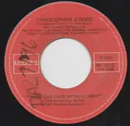 Christopher Atkins , Ted Hamilton & The Pirates - How Can I Live Without Her / ( The Pirate Movie ) I Am A Pirate King