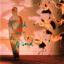 CD - Christopher Cross - Back Of My Mind