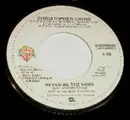 7inch Vinyl Single - Christopher Cross - Never Be The Same